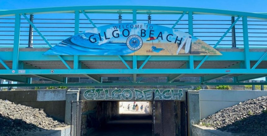 Rex Heuermann pleads guilty to murders of eight women in Gilgo Beach case
