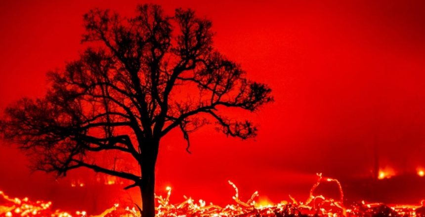 Oklahoma wildfires leave 4 dead, over 200 injured